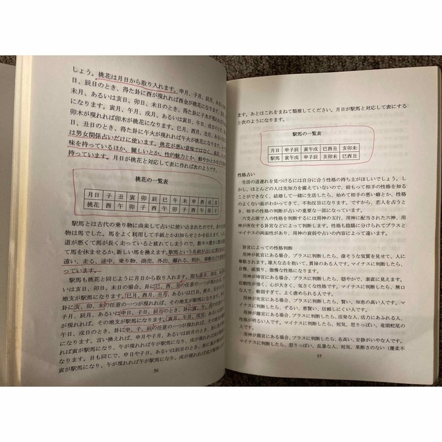 お買物マラソン最大1000円OFFクーポンあり 【 驚くほどの的中率を誇る