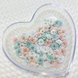 〖100粒以上〗 かすみ草 ドライフラワー💐(ドライフラワー)