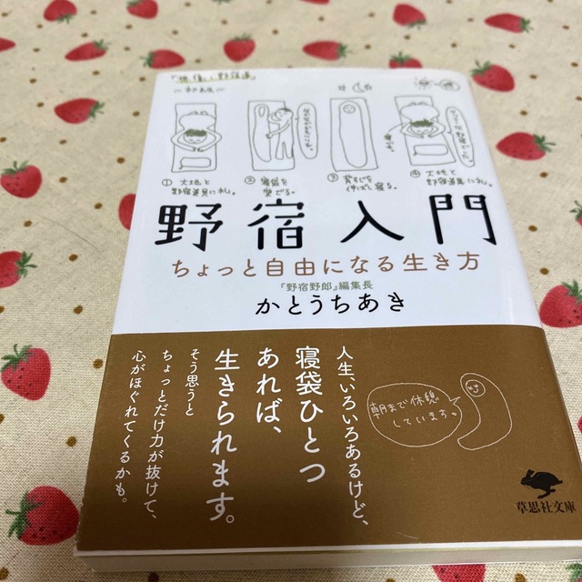 野宿入門 エンタメ/ホビーの本(その他)の商品写真