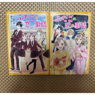 ふたごの恋の事情(文学/小説)