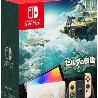 Nintendo Switch  キングダムエディション(家庭用ゲーム機本体)