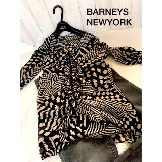 バーニーズニューヨーク(BARNEYS NEW YORK)のBARNEYS NEWYORK シフォンブラウス(チュニック)