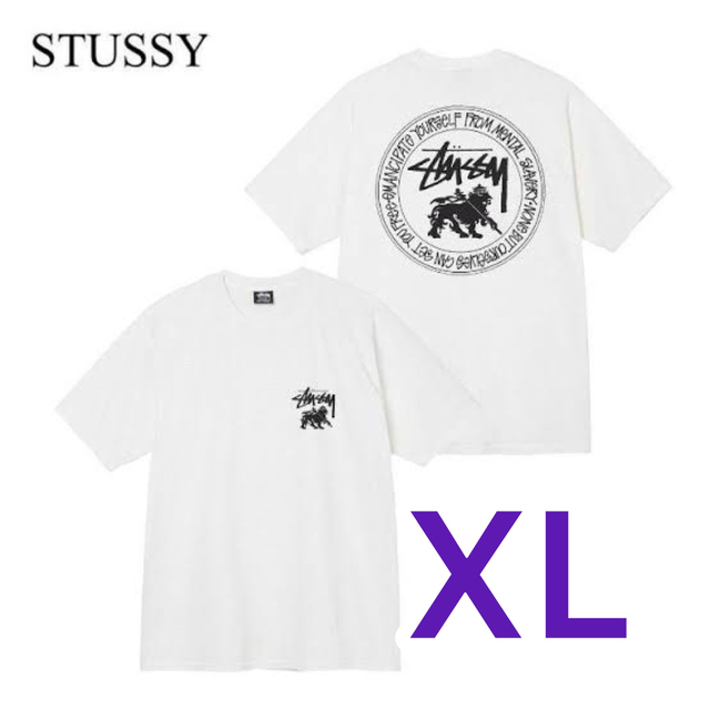 ステューシーSTUSSY LION DOT PIGMENT DYED TEE