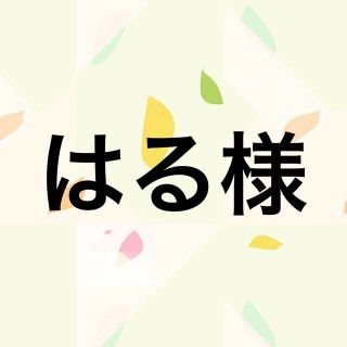 サンリオ(サンリオ)のはる様　ウィッシュミーメル　(小物入れ)