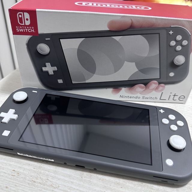 Nintendo Switch Lite グレー 本体とおまけ