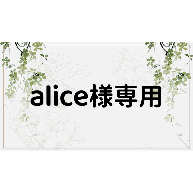 超目玉商品 alice様専用ページ diadelsur.com