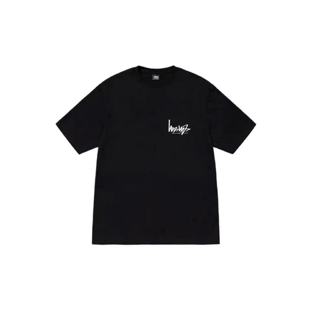 Stussy ステューシー FLIPPED Tシャツ 半袖