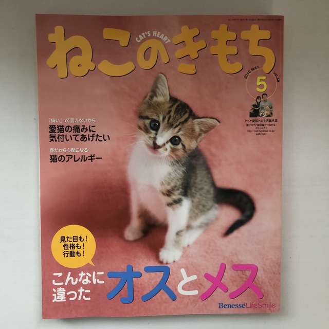 Benesse(ベネッセ)のねこのきもち3冊セット エンタメ/ホビーの雑誌(その他)の商品写真