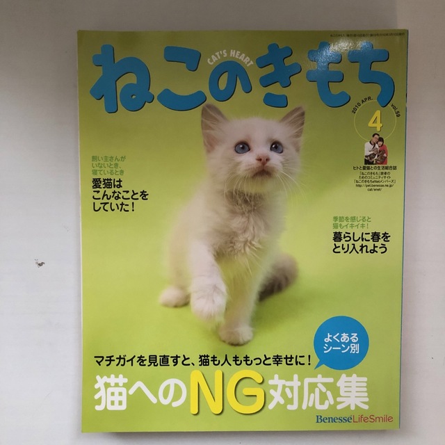 Benesse(ベネッセ)のねこのきもち3冊セット エンタメ/ホビーの雑誌(その他)の商品写真