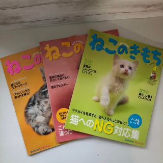 ベネッセ(Benesse)のねこのきもち3冊セット(その他)