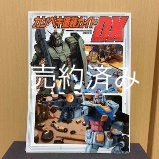 アスキーメディアワークス(アスキー・メディアワークス)の【いちゆ様専用】カンペキ塗装ガイドＤＸ(その他)