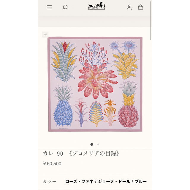 【新品未使用品】 ブロメリアの目録 カレ90 スカーフ