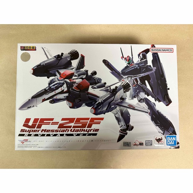 VF-25F スーパーメサイアバルキリー (早乙女アルト機) リバイバルVer