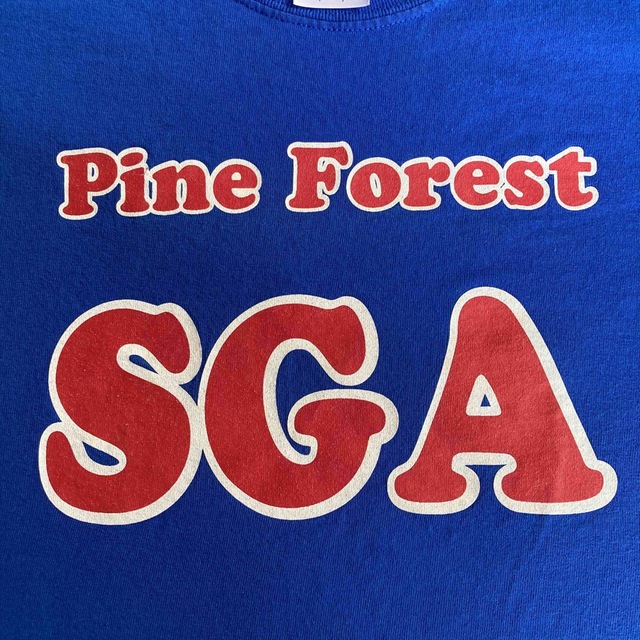 USA古着スクールＴシャツ Pine Forest メンズのトップス(Tシャツ/カットソー(半袖/袖なし))の商品写真