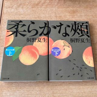 柔らかな頬（ほほ） 上、下(文学/小説)