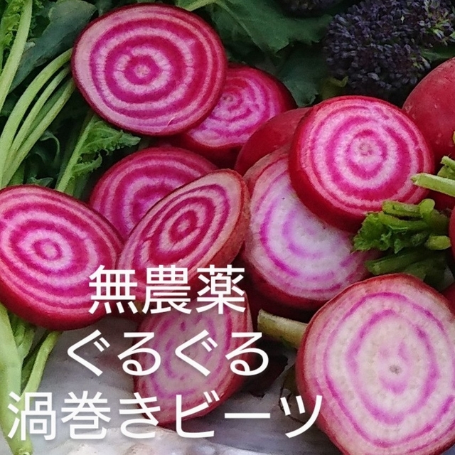 無農薬野菜　春のお野菜詰め合わせ 食品/飲料/酒の食品(野菜)の商品写真