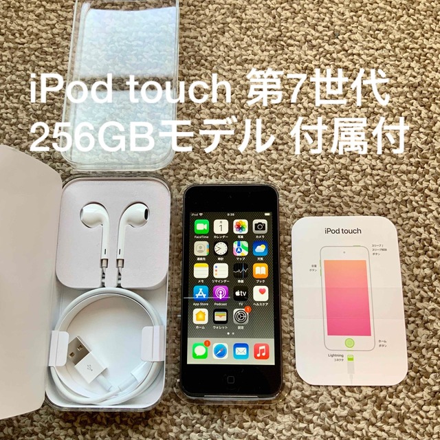 完動品iPod touch(第6世代)本体16GBブルー送料込