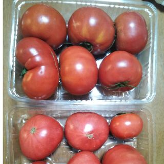 ロイヤル ハーブの通販 300点以上 | roialを買うならラクマ
