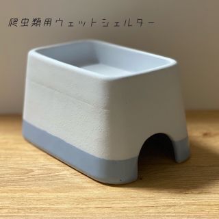 ウェットシェルター 青(爬虫類/両生類用品)