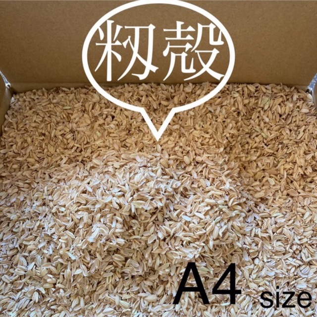 籾殻　もみがら A4サイズ 食品/飲料/酒の食品(米/穀物)の商品写真