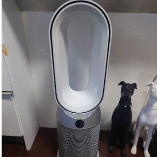 ダイソン(Dyson)のDyson　HP07　Hot＆cool空気清浄ファンヒーター　リモコン、取説付き(空気清浄器)