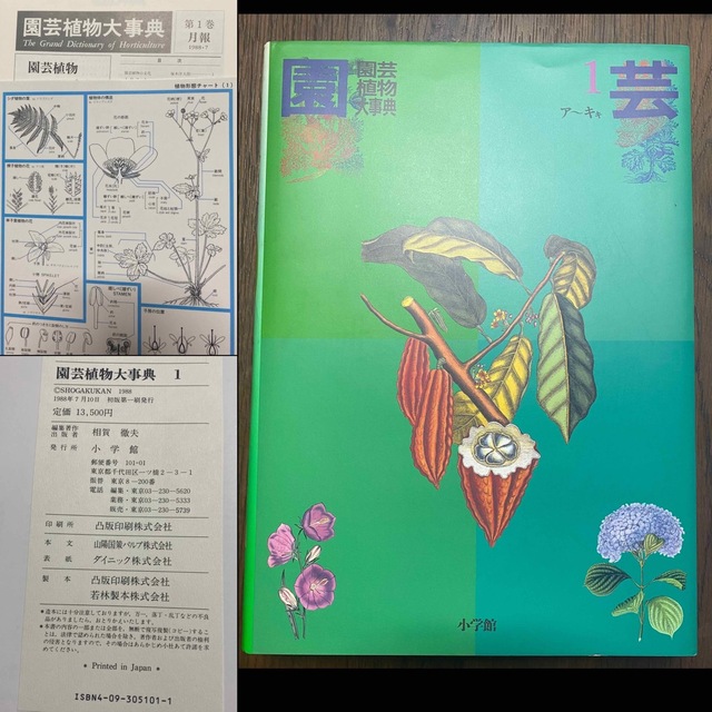 小学館 園芸植物大事典 ６冊セット-