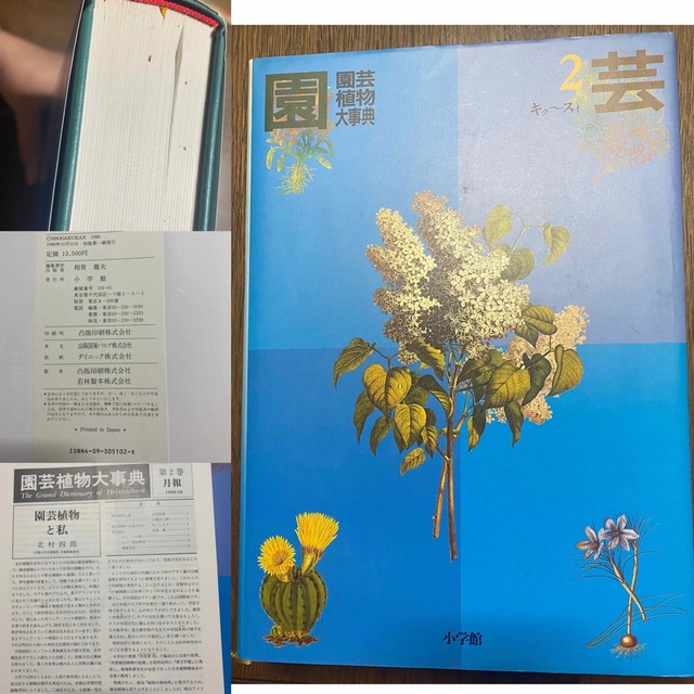 園芸植物大事典 ６冊セット (小学館)