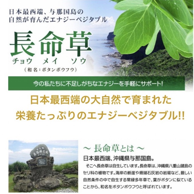 長命草 フコイダン クロレラ入り   サプリメント 約3ヵ月分 健康食品 食品/飲料/酒の健康食品(アミノ酸)の商品写真