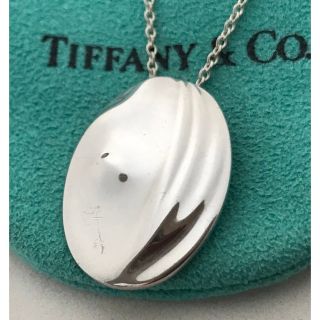 Tiffany K18YG パロマピカソ水瓶座ネックレス希少美品 - ネックレス