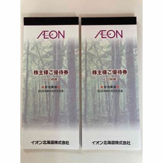 イオン北海道　株主優待券　20000円分(ショッピング)