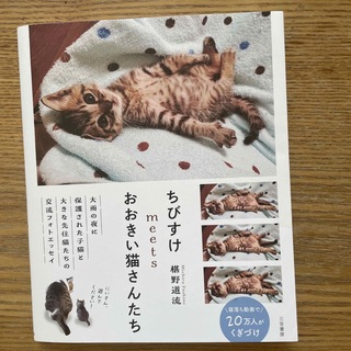 ちびすけｍｅｅｔｓおおきい猫さんたち(文学/小説)