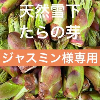 天然タラの芽 500g 天然たらの芽 タラの芽 たらの芽 タラノメ たらのめ(野菜)