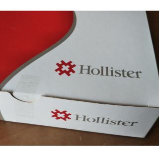 ホリスター(Hollister)のホリスター やわぴた FW ウロS 25㎜(その他)