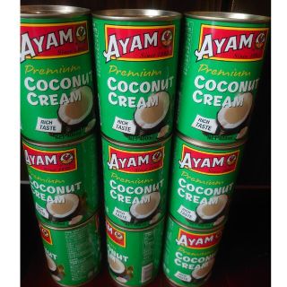 AYAM ココナッツクリーム 400ml×9個(フルーツ)