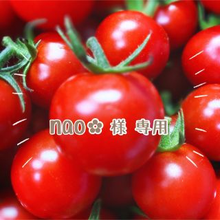 ミニトマト　１ｋｇ(野菜)
