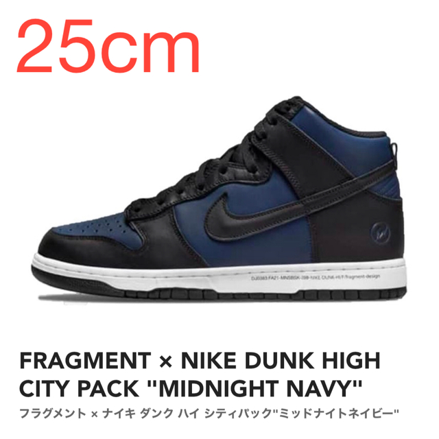 【25cm】FRAGMENT × NIKE DUNK HIGH