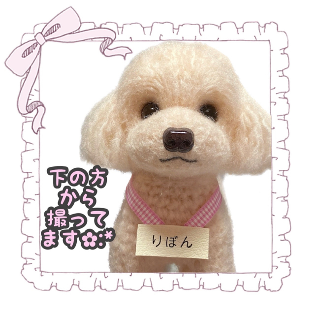 正規通販 【カヨ様 犬 ハロウィン クリスマス プードル マルチーズ 正規通販 【カヨ様 犬 ハロウィン クリスマス プードル マルチーズ