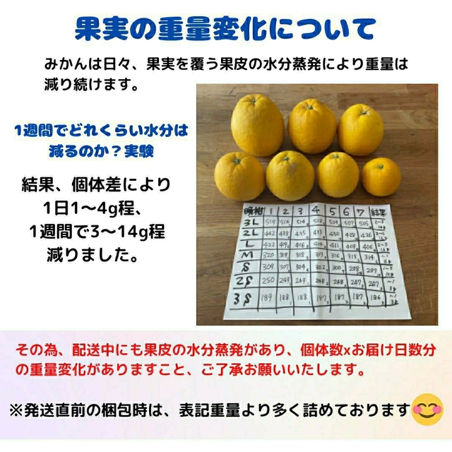 木曜日発送 今のところ数量限定 木成り晩柑 訳あり13kg 食品/飲料/酒の食品(フルーツ)の商品写真