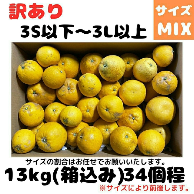 木曜日発送 今のところ数量限定 木成り晩柑 訳あり13kg 食品/飲料/酒の食品(フルーツ)の商品写真