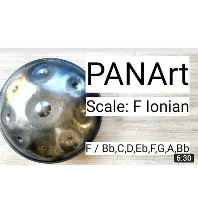 リアル panart hang handpan ハンドパン パーカッション