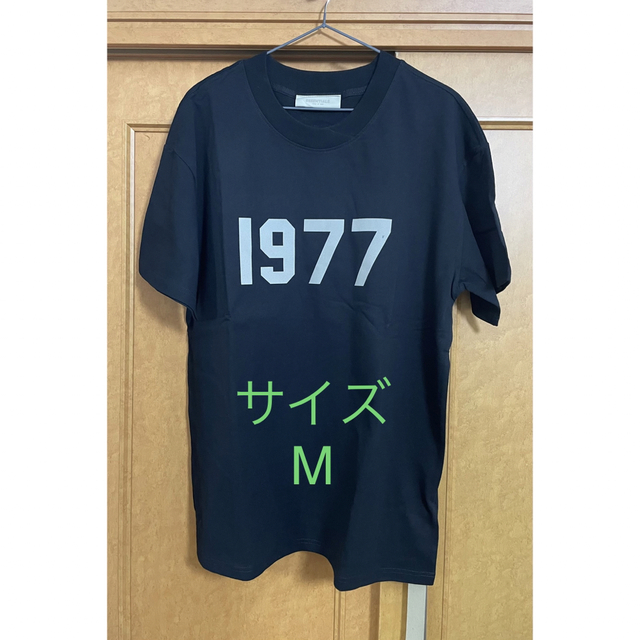 1977 T-Shirt TシャツM