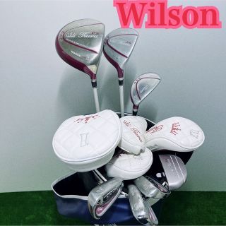 ウィルソン(wilson)のB764 Wilson ウィルソン ハーフセット ティアラ レディース 右利き(クラブ)