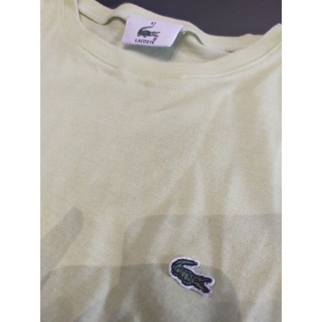 LACOSTE(ラコステ)のラコステ　LACOSTE　Tシャツ　半袖 レディースのトップス(Tシャツ(半袖/袖なし))の商品写真