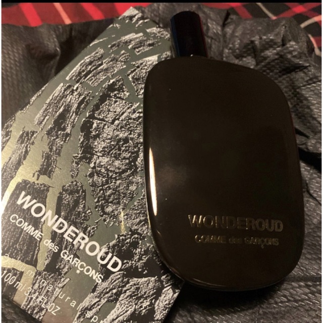 WONDEROUD 100mL 香水  COMME des GARCONS