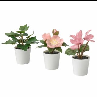 イケア(IKEA)のIKEA イケア　FEJKA フェイカ　人工観葉植物 植木鉢付き　3点セット(置物)