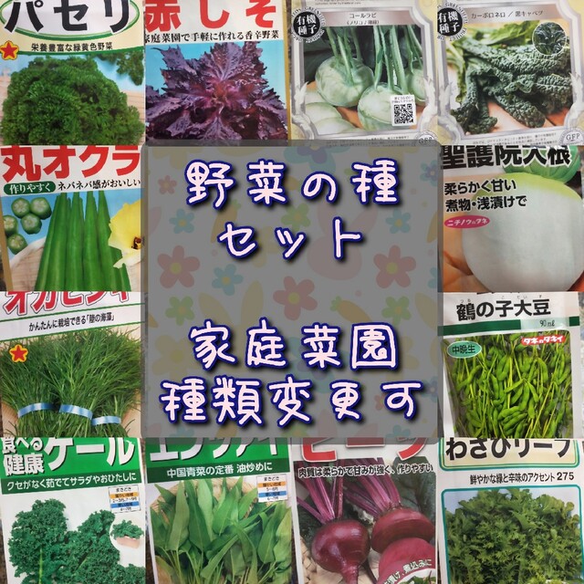 野菜の種 赤しそ サニーレタス バジル パセリ ほうれん草 わさび菜 タアサイ 食品/飲料/酒の食品(野菜)の商品写真