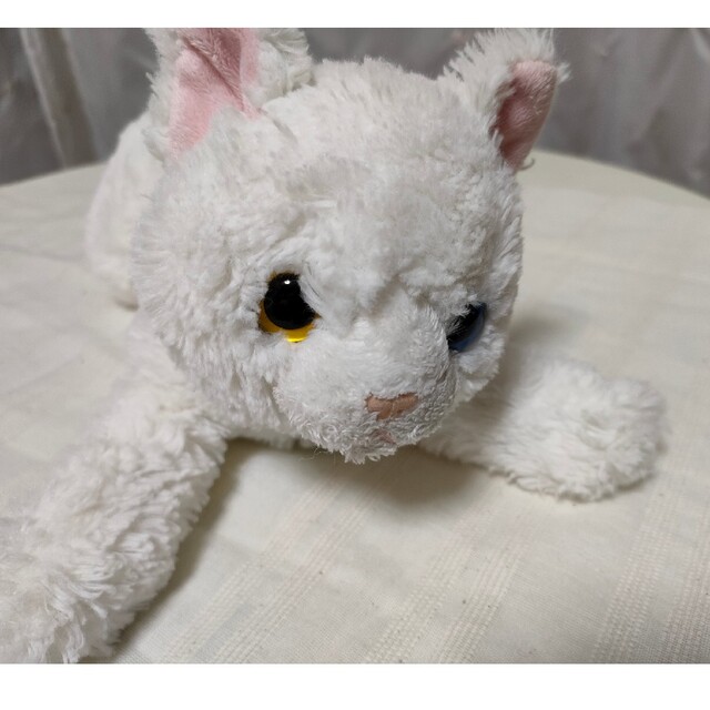 サンレモン　SUNLEMON オリジナル　猫ぬいぐるみ 1