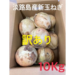 ★訳あり10Kg★淡路島新玉ねぎ　たまねぎ　玉葱(野菜)