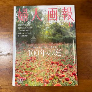 婦人画報 2023年 06月号(その他)