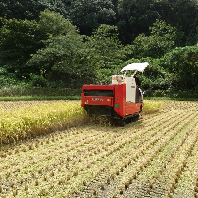 米/穀物令和4年度 山口県産 コシヒカリ 精米15㎏